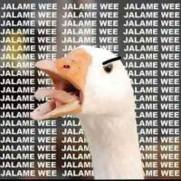 Danxd9