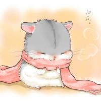 Золотой хомячок