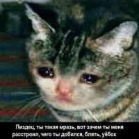4ever alone 4ever alone