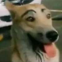 Eyeyeypeque&ntilde;anodigaseso