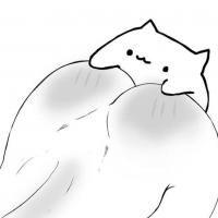 Sharii Sharii