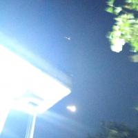 kingofsalvation0108