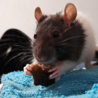 contufisicoytuquimica