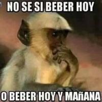 Chris Mx
