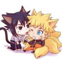 candefujoshi 2