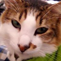 GatiLover