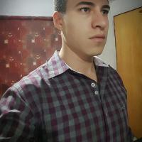 Noé_árbol