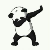 El Panda 🐼🐼🐼