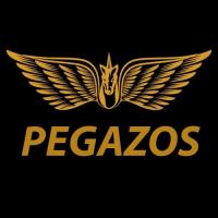 Pegazos scan