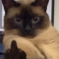 ♡una_loca_fujoshi♡