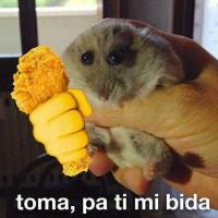 CHUPAME LOS COCOS🥥🥥🥥