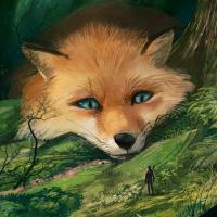 foxy3 foxy3