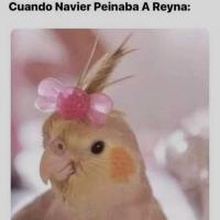 Alena Segura murillo