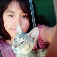 Danna PC