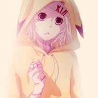 SasaNim