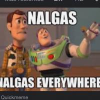 nalgaz2D nalgaz2D