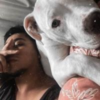 Felipe Quinteros Skate