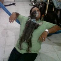 Daniel Gustavo Grajales Betancourt