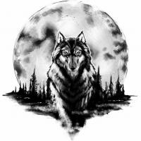 Kay Wolf Stray
