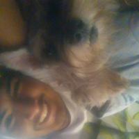 Jose Moises Soto Linares