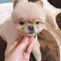 라아