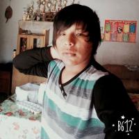 Ariel Mamani7740 Ariel Mamani7740