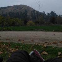 Manuel Olguin Maldonado16208