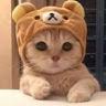 Jin - Jin -