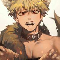 Terka Bakugo Katsuki