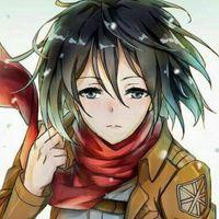 Mikasa0099