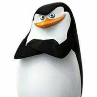 Хакер Монстыр