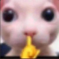 Andy Segura Andy Segura