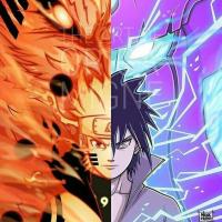 Writetiger86