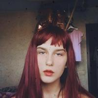 Krevetka___