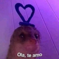 môöön00