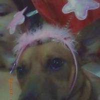 Estefaniadia