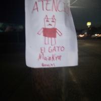 El Gato Mainkra