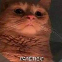 LectoraAnonimaXD