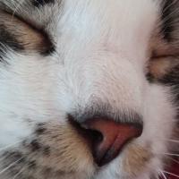 linnyourdream linnyourdream