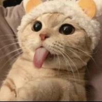 Anime(*≧&forall;≦*)