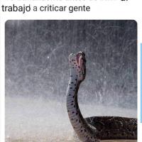 Yuleika