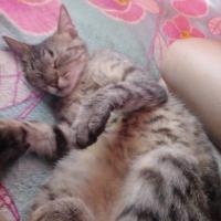 Mili' G