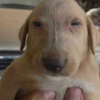 ~ EL SABIO TIO ‼️