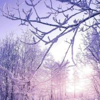 &mdash;_ElFuDaNsHi_&mdash;