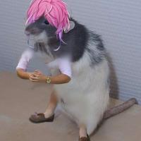 maai☆