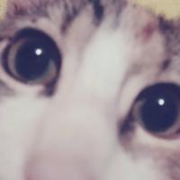 mayeyo