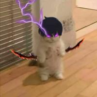 Pendejo Archer 2