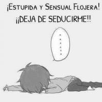 kutedo 616