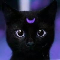 gatitos muertos 😺