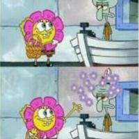 xd saludos